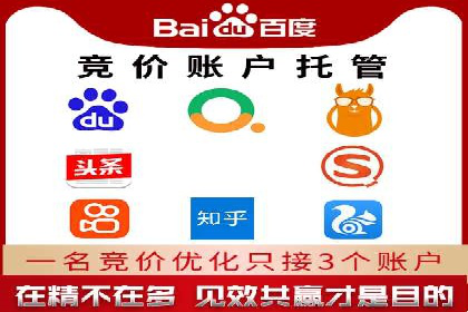 搜索引擎营销（SEM）成功运营的五大案例